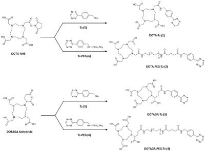 Clickable Radiocomplexes With Trivalent Radiometals for Cancer Theranostics: In vitro and in vivo Studies